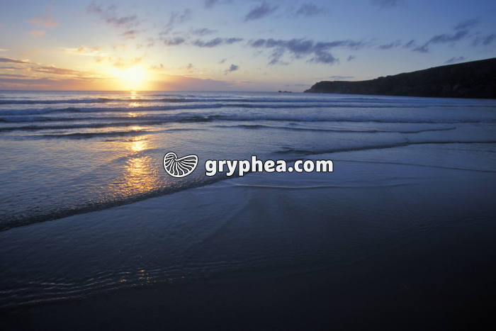 Plage et océan - gryphea.org